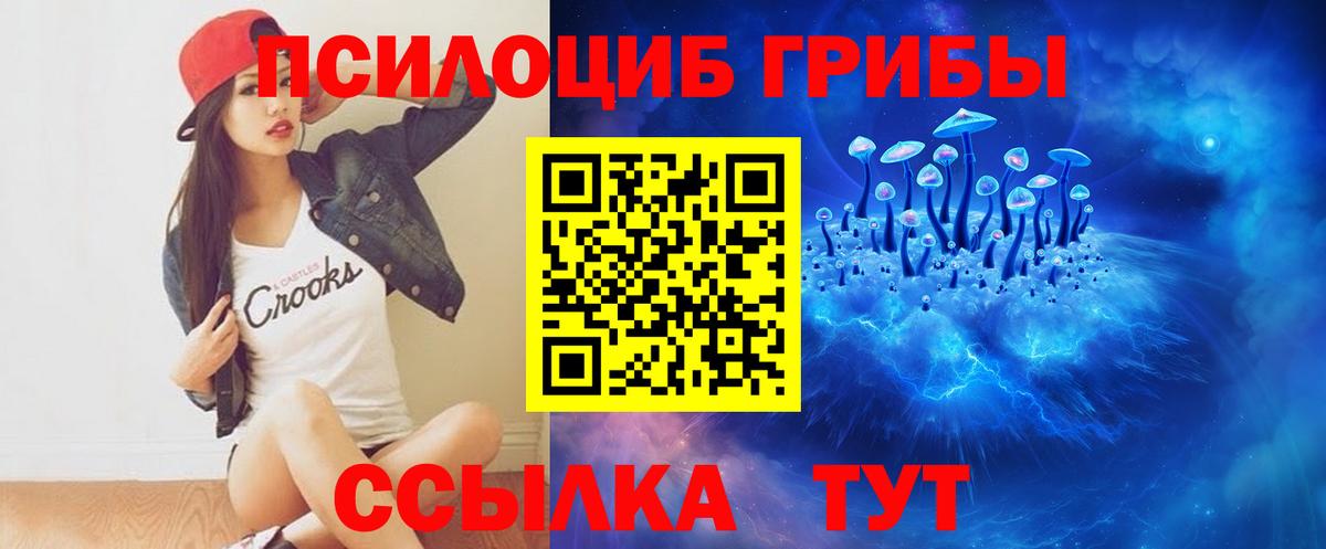 Псилоцибиновые грибы Psilocybine cubensis Карпинск