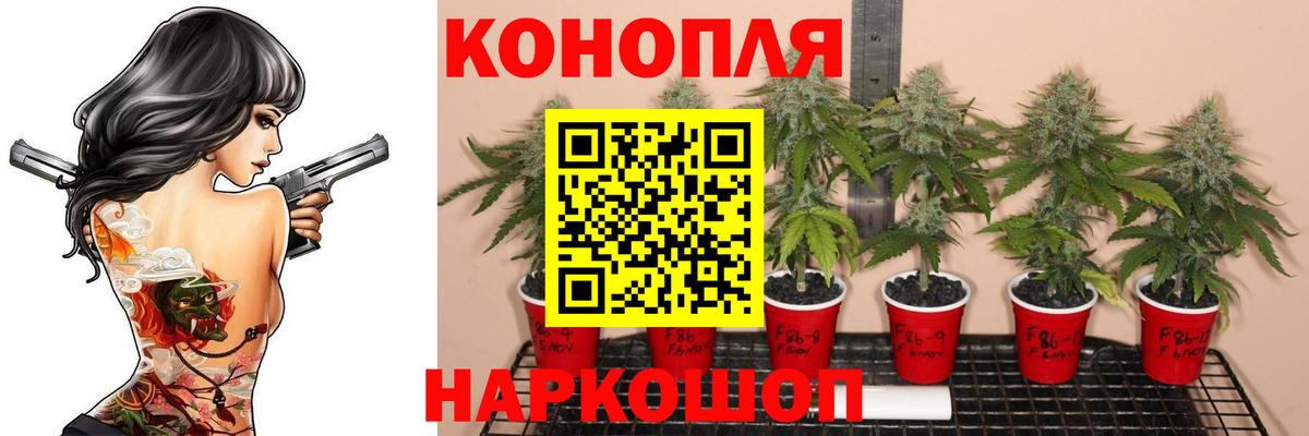 Карпинск  Бошки марихуана тримм  Шишки марихуана White Widow  Бошки марихуана MAZAR  Вход с VPN 
